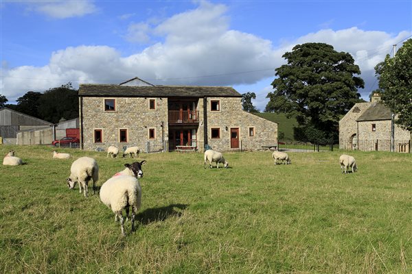 Cottages on our sheep farm